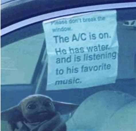 the ac is on meme|The AC is on. They have water. and are listening to their favorite ...